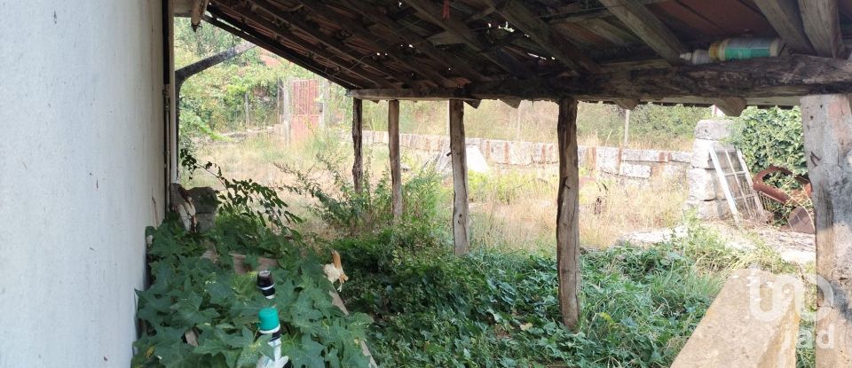 Moradia T2 em Viariz de 340 m²