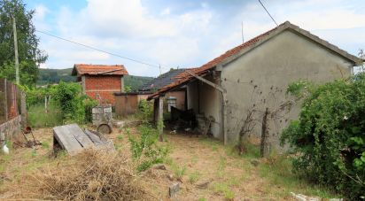 Maison T2 à Viariz de 340 m²