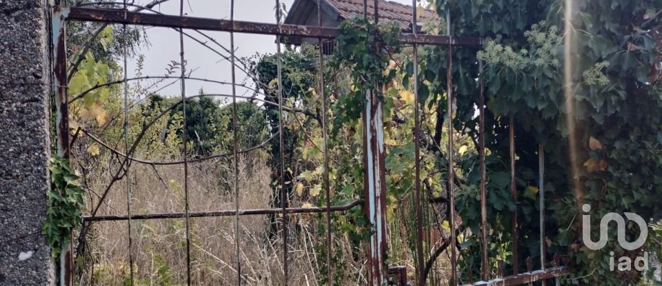 Moradia T2 em Viariz de 340 m²