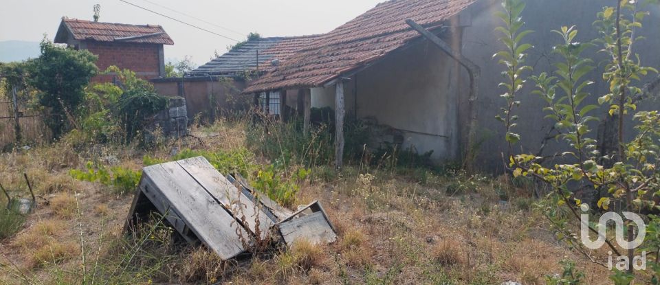 Moradia T2 em Viariz de 340 m²