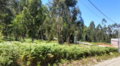 Terrain à bâtir à Fonte Arcada de 4 368 m²