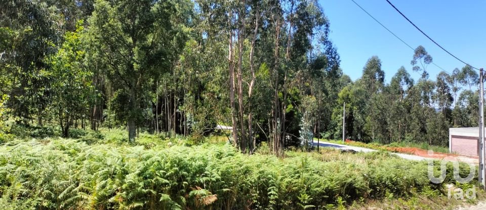 Terreno urbano em Fonte Arcada de 4 368 m²