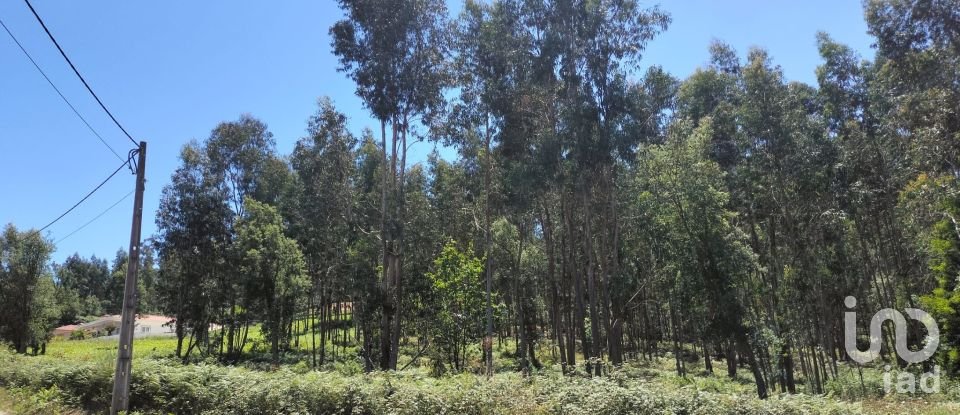 Terreno urbano em Fonte Arcada de 4 368 m²