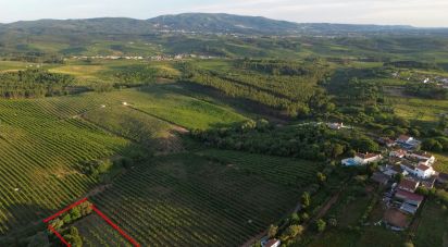 Terreno em Peral de 2 514 m²