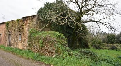 Maison T1 à Areias e Pias de 160 m²