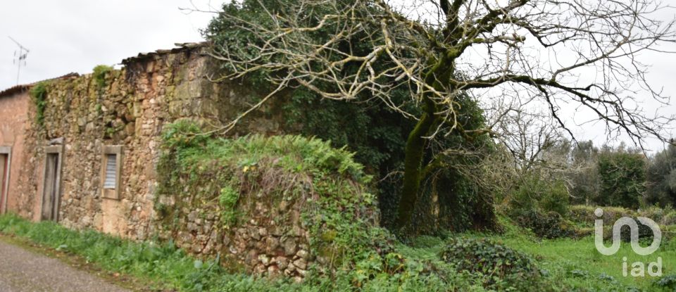 Maison T1 à Areias e Pias de 160 m²