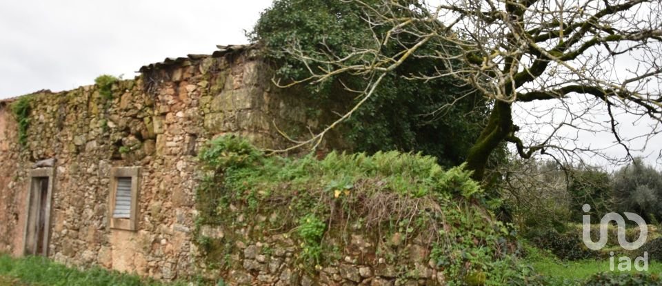 Maison T1 à Areias e Pias de 160 m²