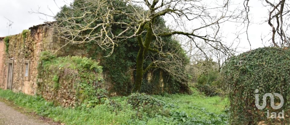 Maison T1 à Areias e Pias de 160 m²