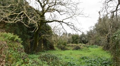 Maison T1 à Areias e Pias de 160 m²