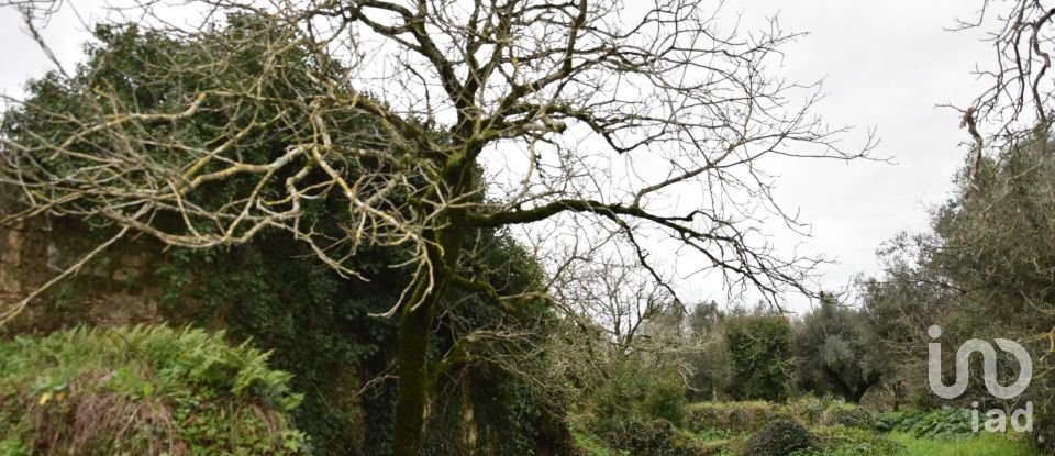 Maison T1 à Areias e Pias de 160 m²