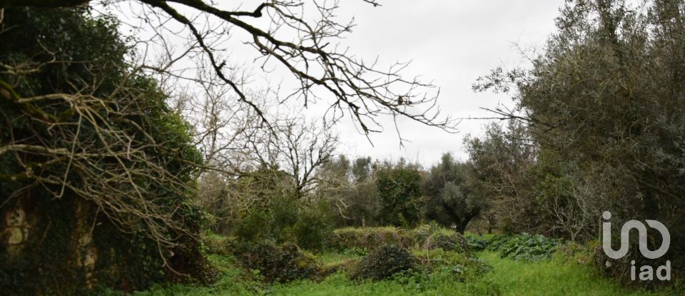 Maison T1 à Areias e Pias de 160 m²