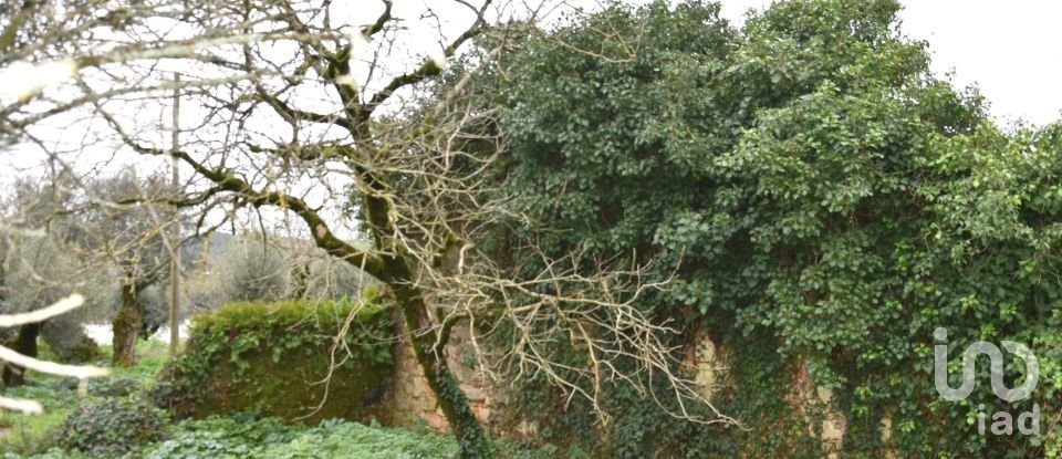 Maison T1 à Areias e Pias de 160 m²