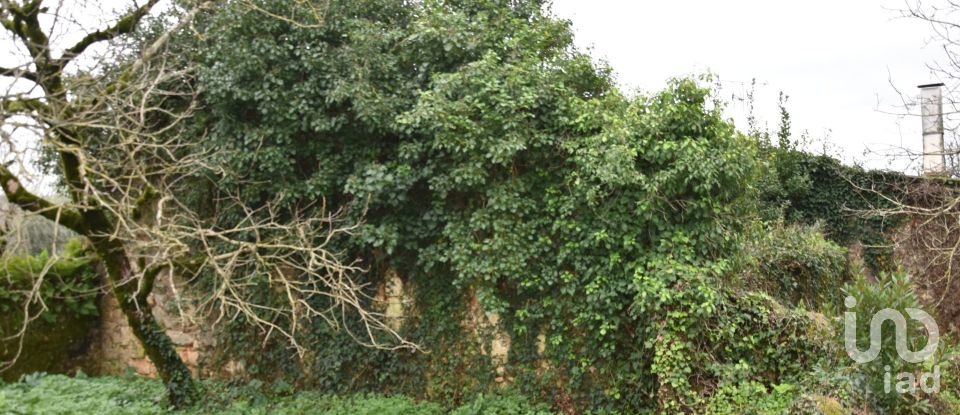 Maison T1 à Areias e Pias de 160 m²