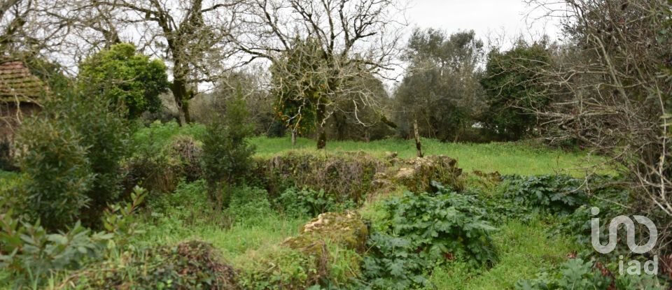 Maison T1 à Areias e Pias de 160 m²