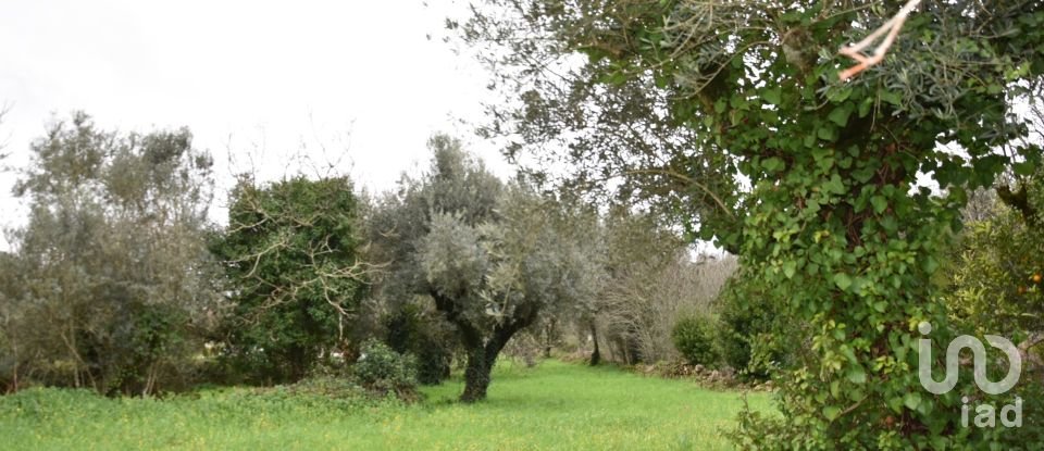 Maison T1 à Areias e Pias de 160 m²