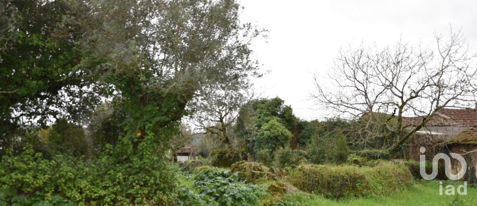 Maison T1 à Areias e Pias de 160 m²