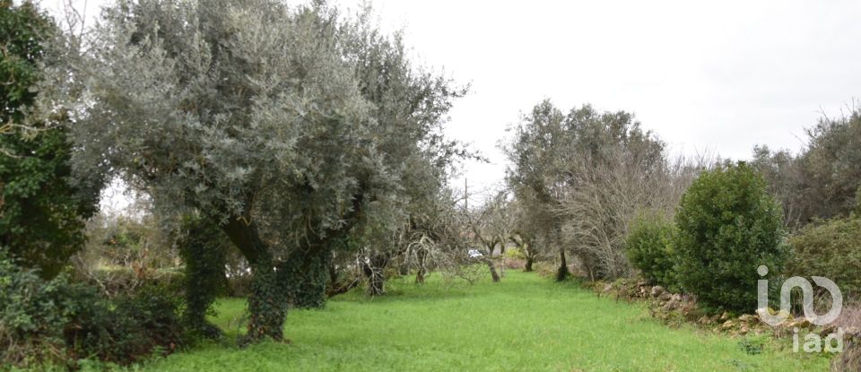 Maison T1 à Areias e Pias de 160 m²