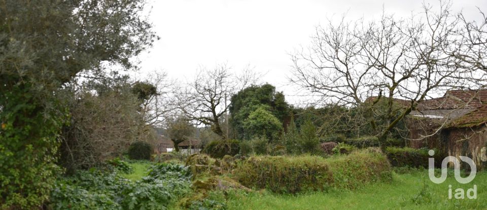 Maison T1 à Areias e Pias de 160 m²