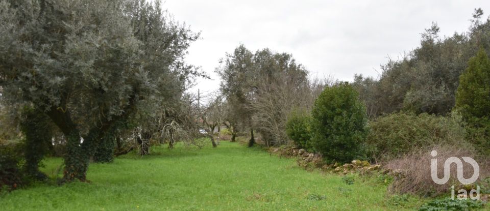 Maison T1 à Areias e Pias de 160 m²