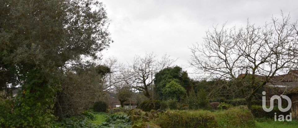 Maison T1 à Areias e Pias de 160 m²