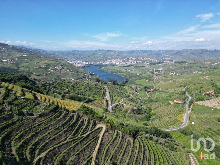 Terrain agricole à Samodães de 32 187 m²