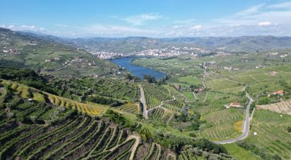 Terrain agricole à Samodães de 32 187 m²