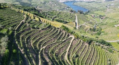 Terrain agricole à Samodães de 32 187 m²