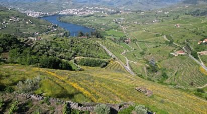 Terrain agricole à Samodães de 32 187 m²