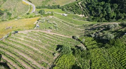 Terrain agricole à Samodães de 32 187 m²