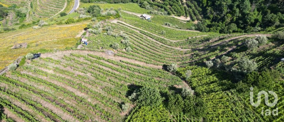 Terrain agricole à Samodães de 32 187 m²