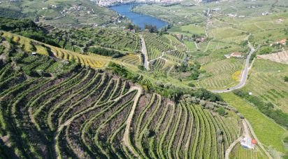 Terrain agricole à Samodães de 32 187 m²