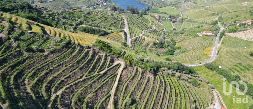Terrain agricole à Samodães de 32 187 m²