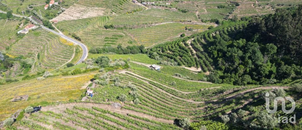 Terrain agricole à Samodães de 32 187 m²