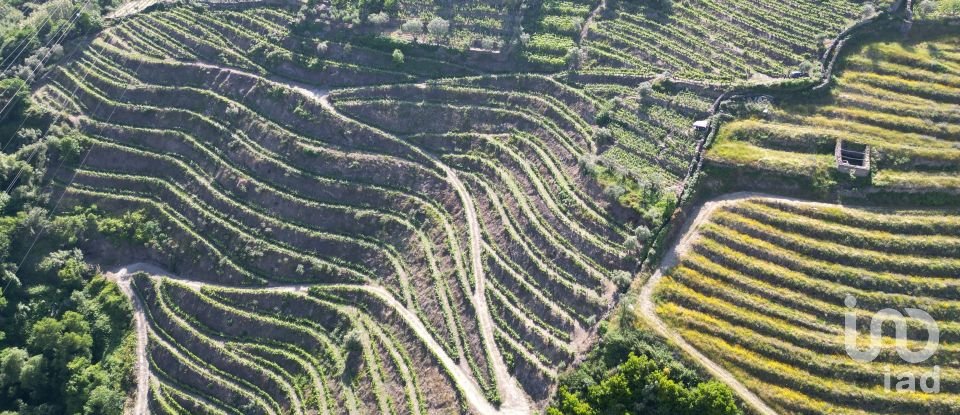 Terrain agricole à Samodães de 32 187 m²