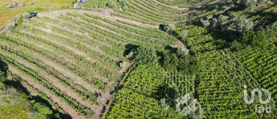 Terrain agricole à Samodães de 32 187 m²