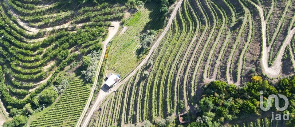 Terrain agricole à Samodães de 32 187 m²