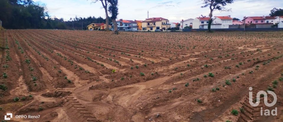 Terrain à bâtir à Aveleda de 21 000 m²