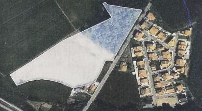Terrain à bâtir à Aveleda de 21 000 m²