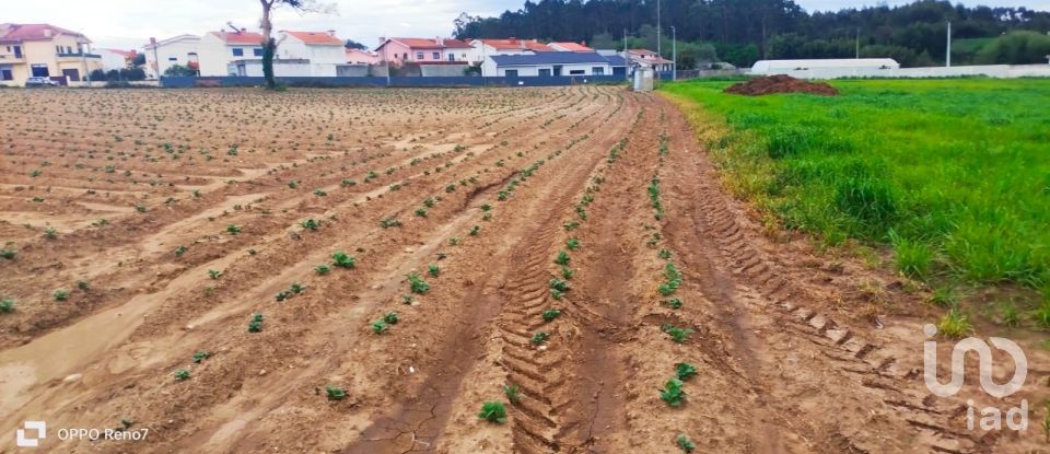 Terrain à bâtir à Aveleda de 21 000 m²