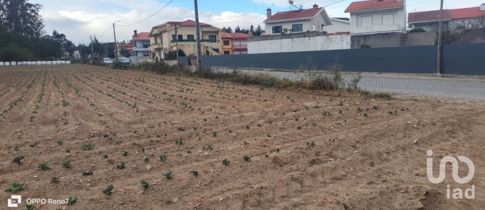 Terrain à bâtir à Aveleda de 21 000 m²