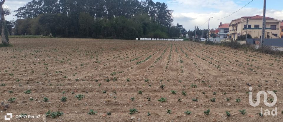 Terrain à bâtir à Aveleda de 21 000 m²