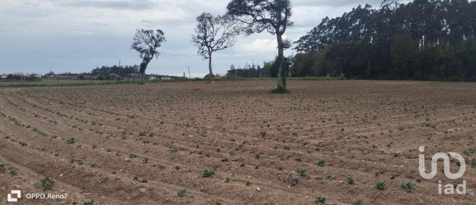 Terrain à bâtir à Aveleda de 21 000 m²