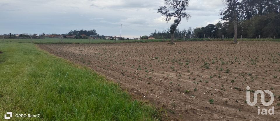 Terrain à bâtir à Aveleda de 21 000 m²