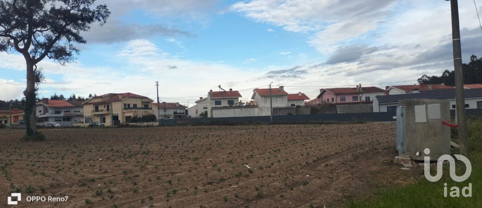 Terrain à bâtir à Aveleda de 21 000 m²