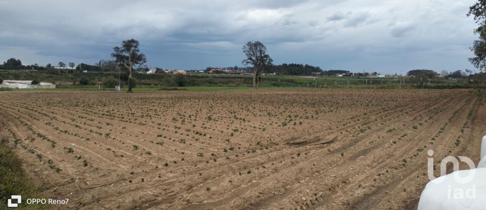 Terrain à bâtir à Aveleda de 21 000 m²