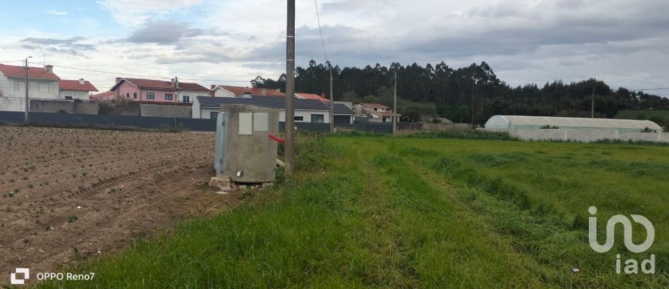 Terrain à bâtir à Aveleda de 21 000 m²