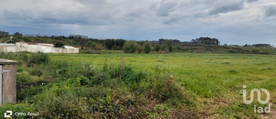 Terrain à bâtir à Aveleda de 21 000 m²