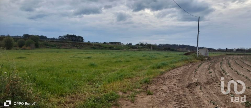 Terrain à bâtir à Aveleda de 21 000 m²