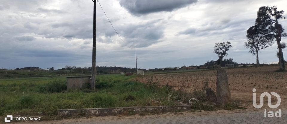Terrain à bâtir à Aveleda de 21 000 m²