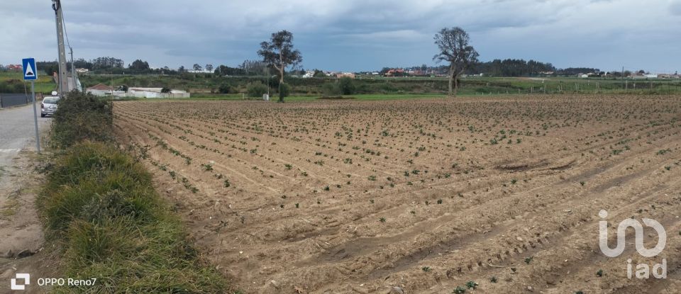 Terrain à bâtir à Aveleda de 21 000 m²